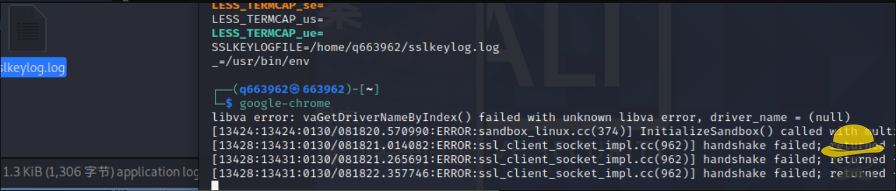 Wireshark分析HTTPS流量