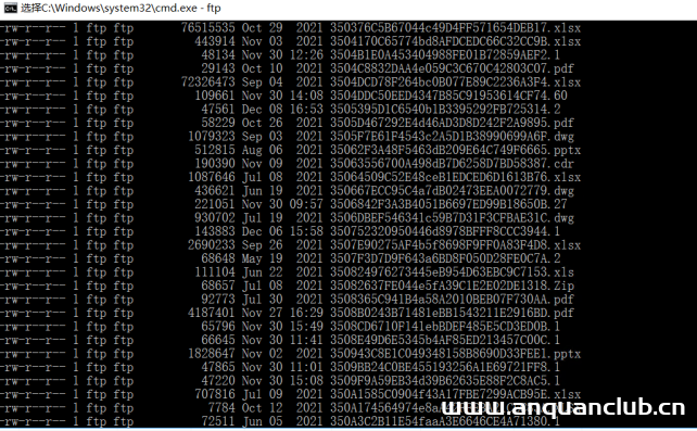 图片[11]-安服仔某渗透项目实战-渗透云记 - 专注于网络安全与技术分享