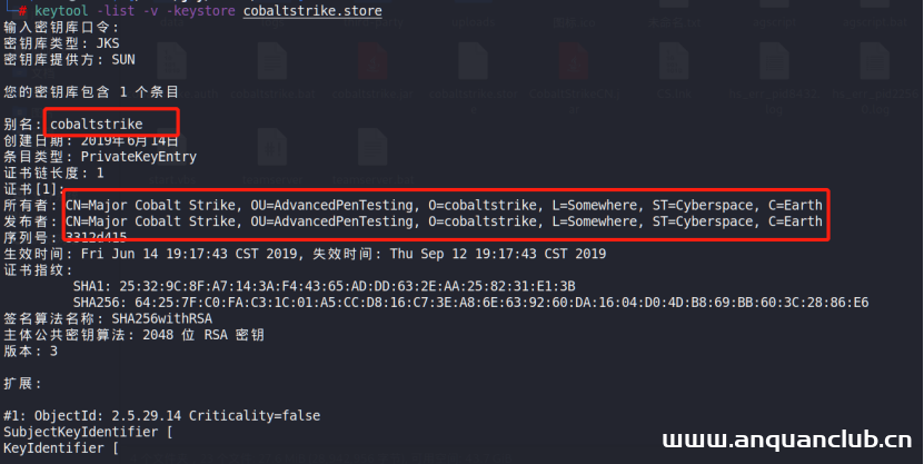图片[2]-CS服务器隐匿自身操作-渗透云记 - 专注于网络安全与技术分享