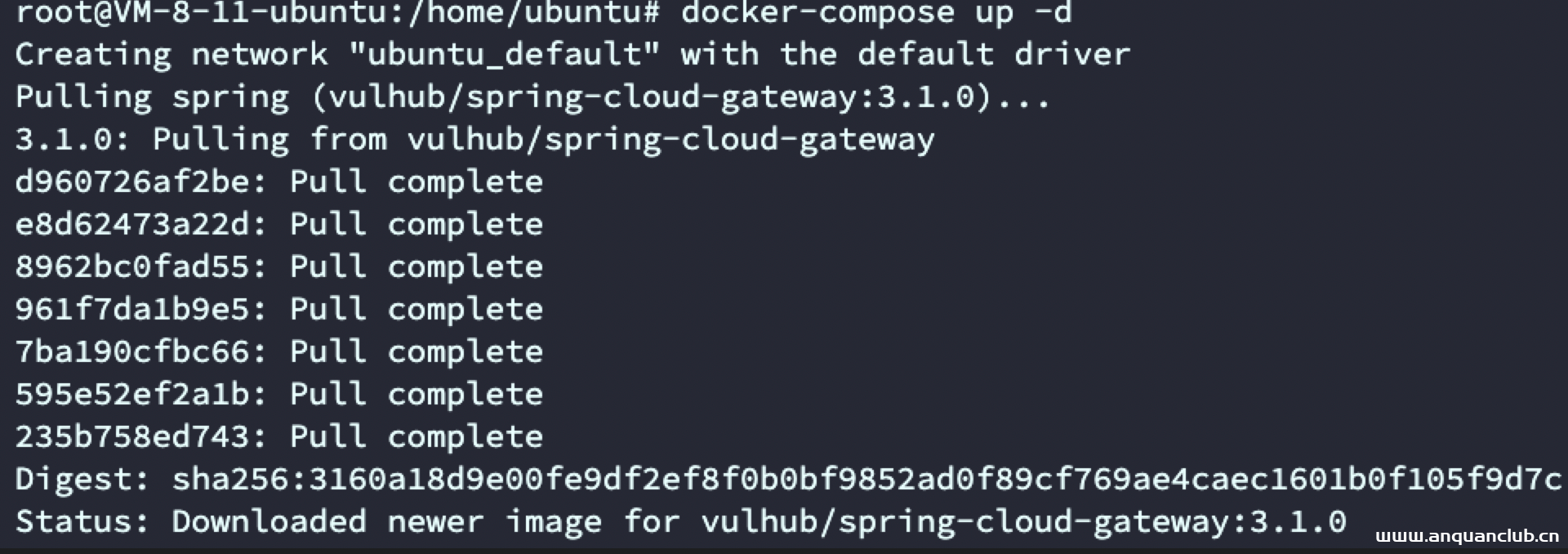 image-20220304103612832