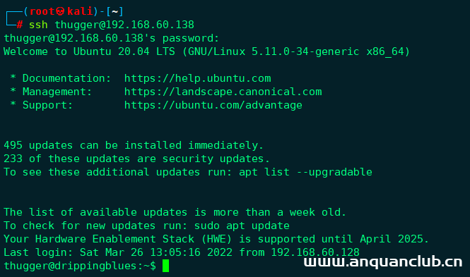 Vulnhub 靶场 DRIPPING BLUES: 1