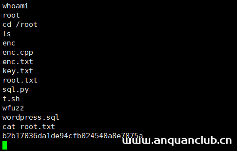 图片[22]-kali渗透综合靶机– prime-1-渗透云记 - 专注于网络安全与技术分享