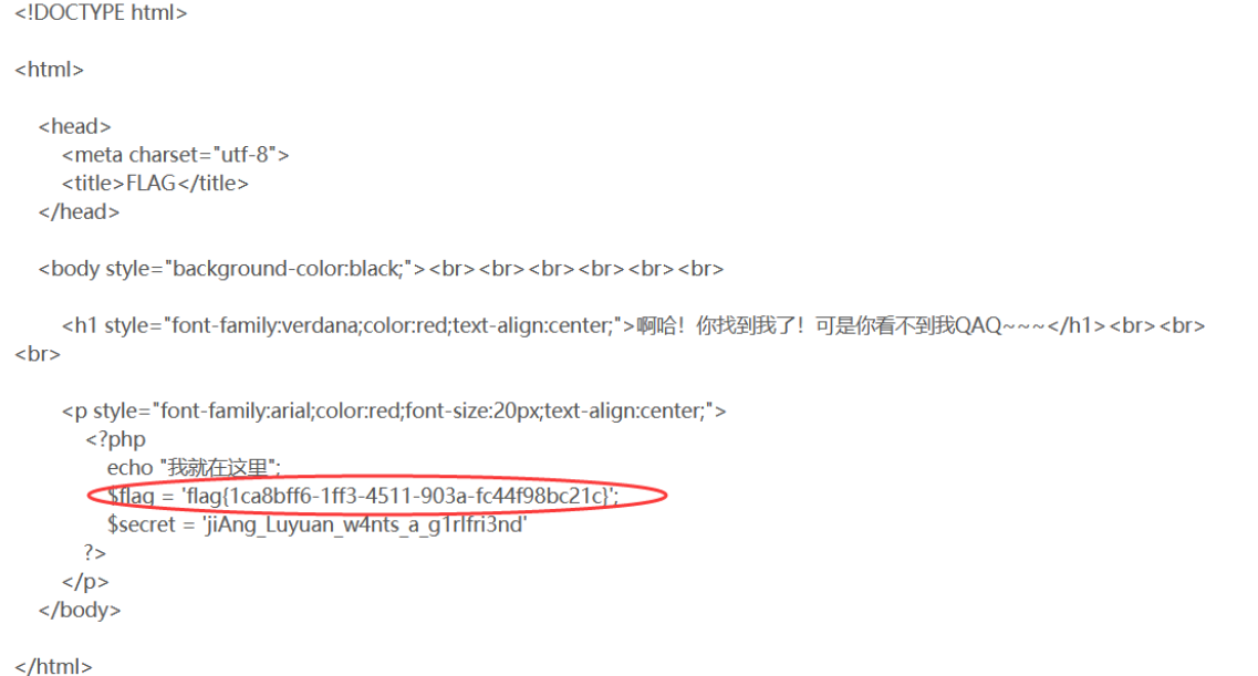 图片[11]-BUUCTF[极客大挑战 2019]Secret File – 蒋璐源的秘密？-渗透云记 - 专注于网络安全与技术分享