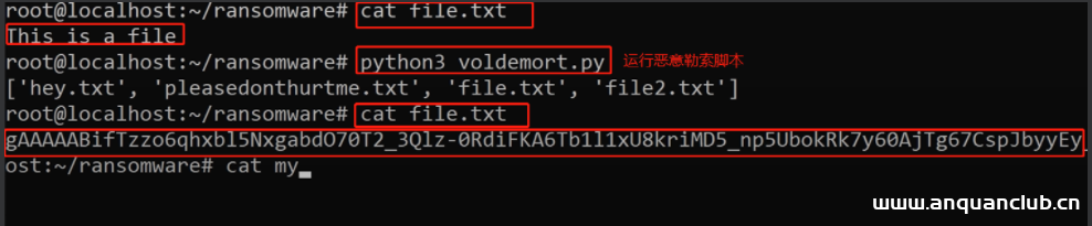 图片[2]-如何使用Python编写一个简单好玩的勒索程序？-渗透云记 - 专注于网络安全与技术分享