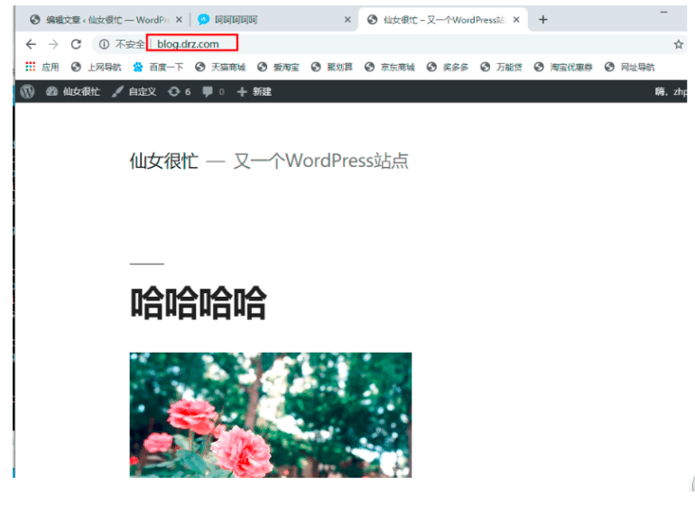 图片[4]-通过nginx实现方向代理过程图解_nginx-渗透云记 - 专注于网络安全与技术分享