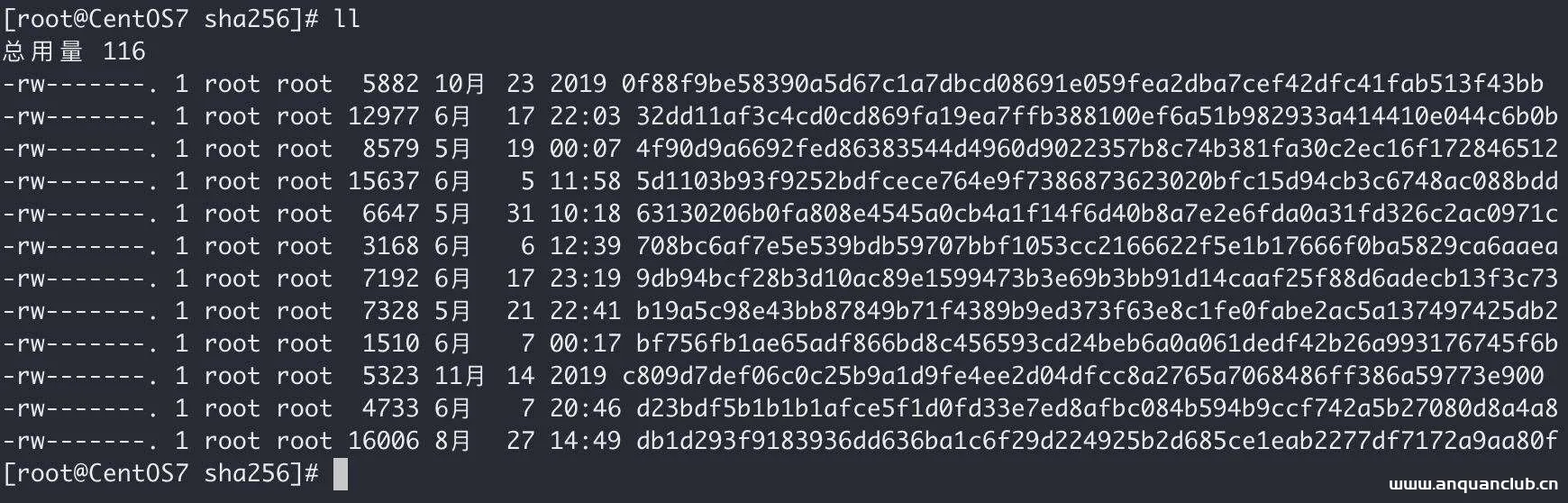 图片[2]-docker镜像无法删除 Error：No such image：xxxxxx解决_docker-渗透云记 - 专注于网络安全与技术分享