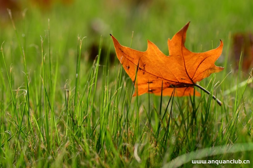 探究一个LED如何入门Linux内核_Linux-渗透云记 - 专注于网络安全与技术分享