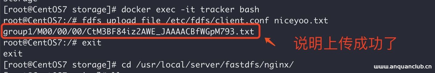 图片[9]-Docker中搭建FastDFS文件系统(多图教程)_docker-渗透云记 - 专注于网络安全与技术分享