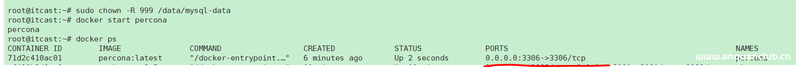 图片[8]-Docker创建容器时目录权限踩坑_docker-渗透云记 - 专注于网络安全与技术分享
