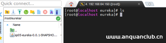 图片[5]-docker 中配置 eureka的方法_docker-渗透云记 - 专注于网络安全与技术分享