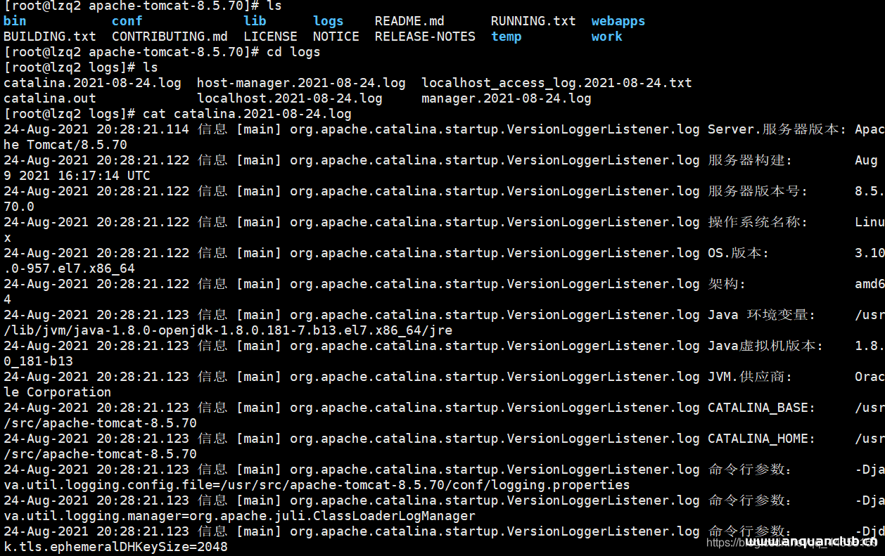 图片[12]-最新Linux下安装tomcat8图解过程_Linux-渗透云记 - 专注于网络安全与技术分享