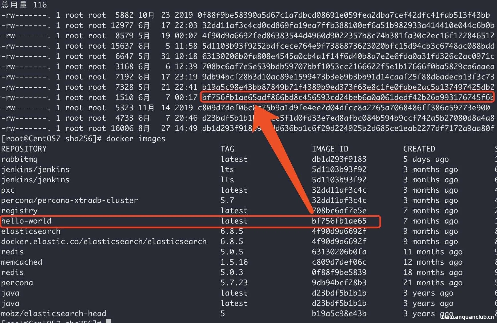 图片[3]-docker镜像无法删除 Error：No such image：xxxxxx解决_docker-渗透云记 - 专注于网络安全与技术分享