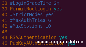 图片[6]-使用VSCode的Remote-SSH连接Linux进行远程开发_Linux-渗透云记 - 专注于网络安全与技术分享