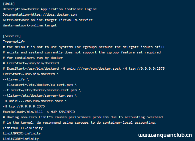 图片[4]-Docker开启TLS和CA认证的方法步骤_docker-渗透云记 - 专注于网络安全与技术分享