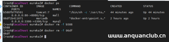 图片[8]-docker 中配置 eureka的方法_docker-渗透云记 - 专注于网络安全与技术分享