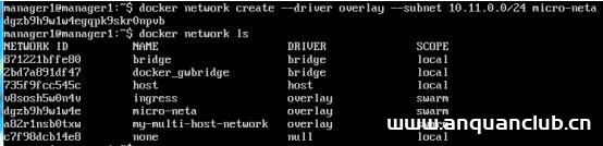图片[3]-解决Docker network Create加–subnet后遇到问题_docker-渗透云记 - 专注于网络安全与技术分享