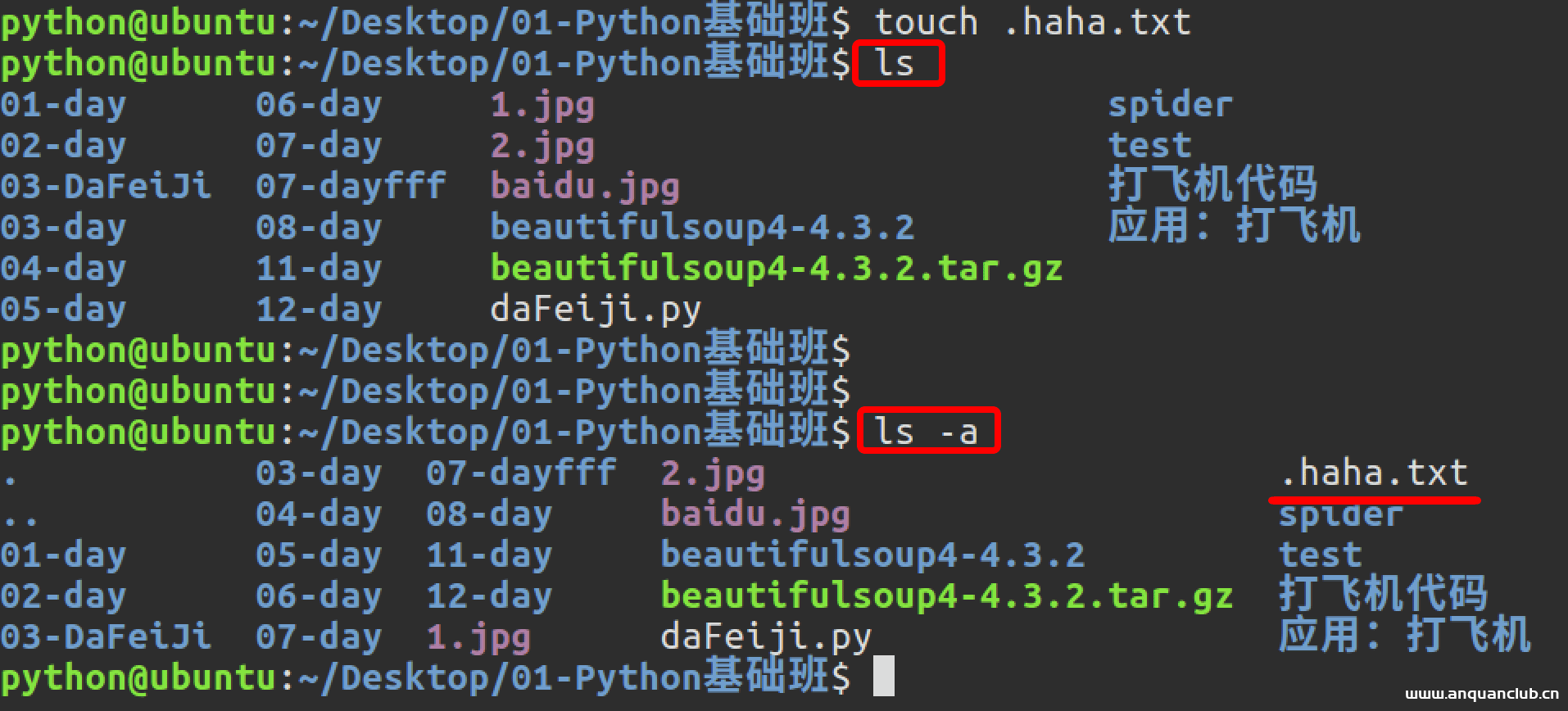 在这里插入图片描述