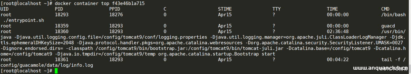 图片[2]-Docker容器监控及日志管理实现过程解析_docker-渗透云记 - 专注于网络安全与技术分享