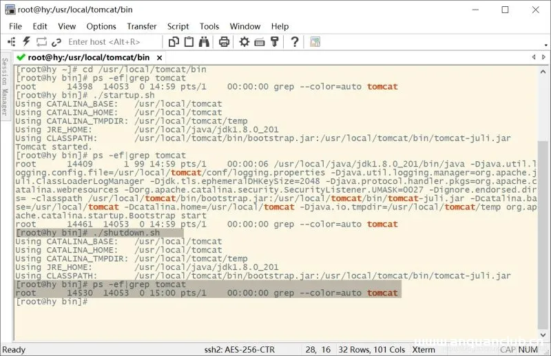 图片[7]-Linux安装与卸载Tomcat8的详细图文教程_Tomcat-渗透云记 - 专注于网络安全与技术分享