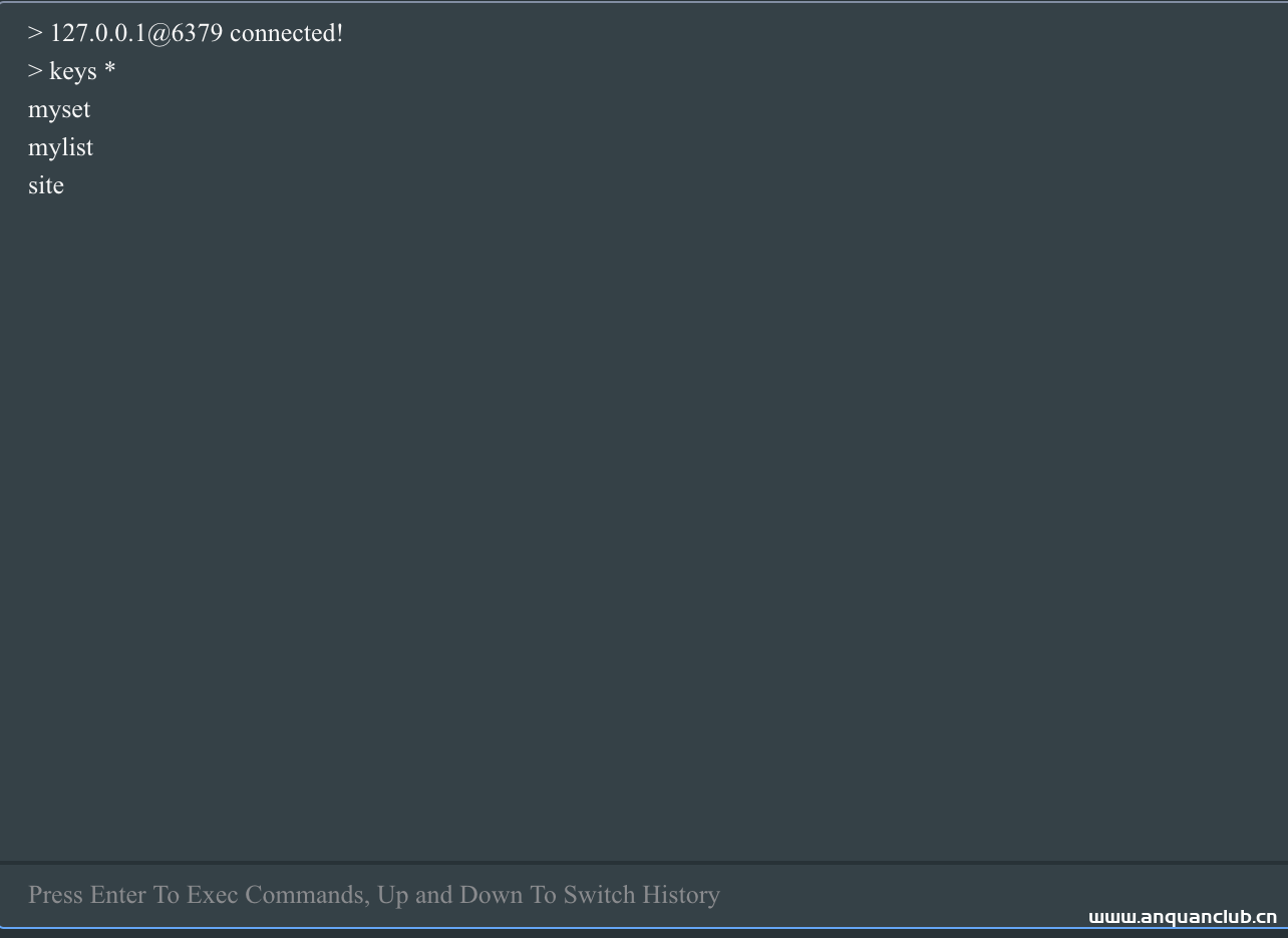 图片[8]-Docker安装Redis并介绍可视化客户端进行操作_docker-渗透云记 - 专注于网络安全与技术分享
