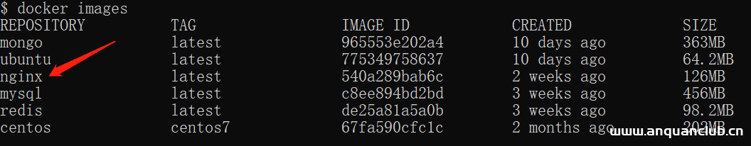 图片[4]-Docker 如何安装 Nginx_docker-渗透云记 - 专注于网络安全与技术分享