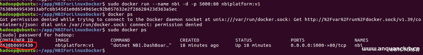 图片[3]-如何将本地构建好的docker镜像发布到dockerhub_docker-渗透云记 - 专注于网络安全与技术分享