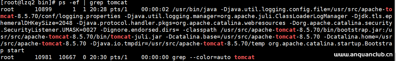 图片[11]-最新Linux下安装tomcat8图解过程_Linux-渗透云记 - 专注于网络安全与技术分享