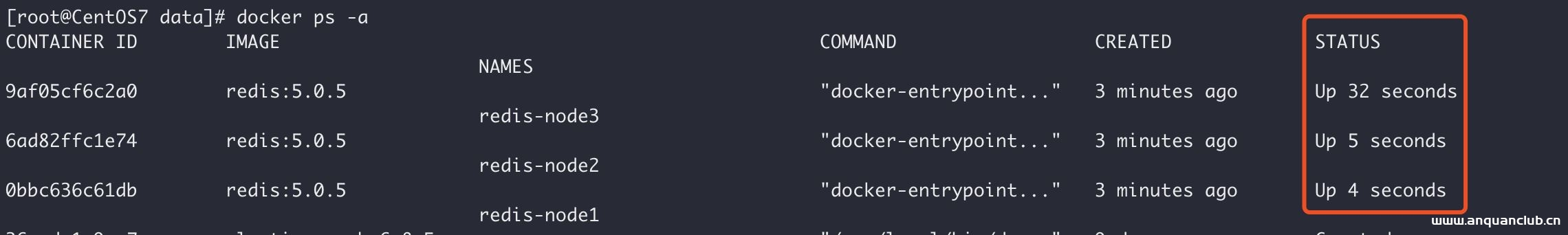 图片[6]-Docker上实现Redis集群搭建_docker-渗透云记 - 专注于网络安全与技术分享