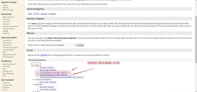 图片[2]-Tomcat下载安装并部署到IDEA的教程（附带idea两种热部署设置方法）_Tomcat-渗透云记 - 专注于网络安全与技术分享