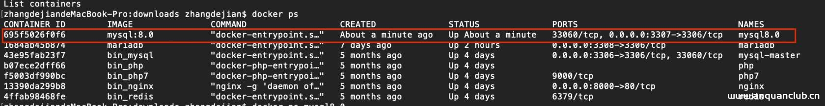 图片[5]-Docker安装MySQL8.0的实现方法_docker-渗透云记 - 专注于网络安全与技术分享