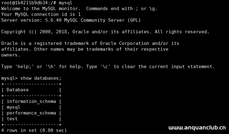 图片[4]-docker中使用mysql数据库实现局域网访问_docker-渗透云记 - 专注于网络安全与技术分享