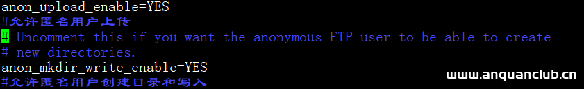 图片[5]-解决linux ftp匿名上传、下载开机自启问题_Linux-渗透云记 - 专注于网络安全与技术分享