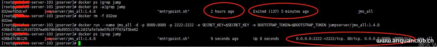 图片[4]-docker添加网桥并设置ip地址范围操作_docker-渗透云记 - 专注于网络安全与技术分享