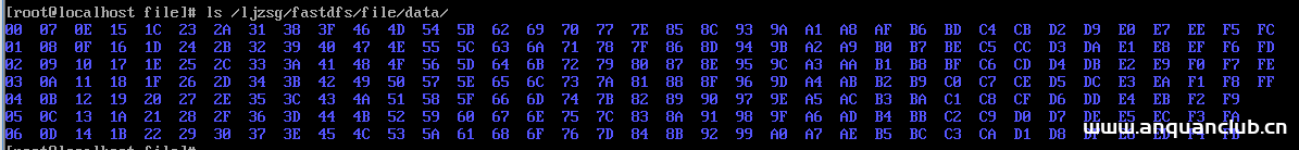 图片[9]-用nginx+FastDFS一步步搭建文件管理系统_服务器其它-渗透云记 - 专注于网络安全与技术分享