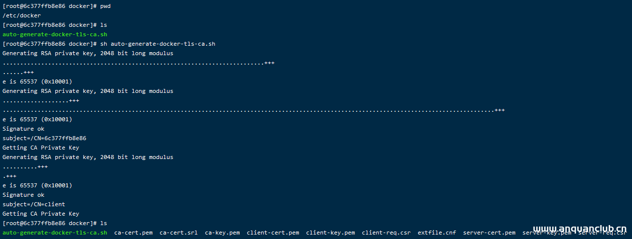 图片[2]-Docker开启TLS和CA认证的方法步骤_docker-渗透云记 - 专注于网络安全与技术分享