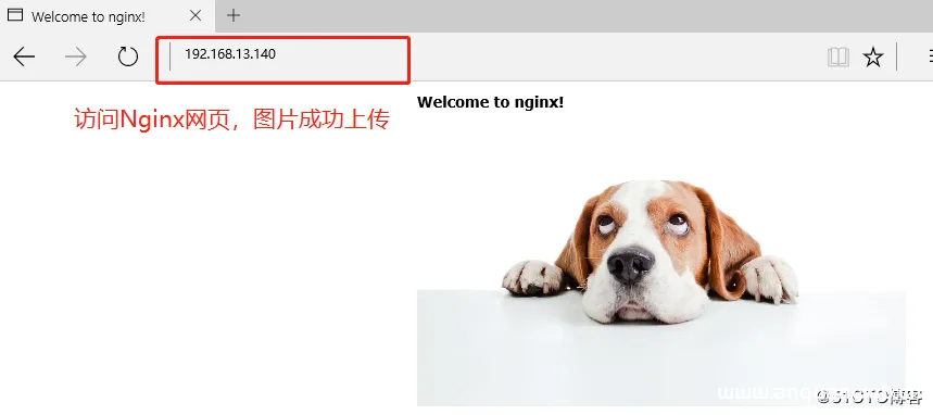 Nginx隐藏版本号的方法_nginx-渗透云记 - 专注于网络安全与技术分享
