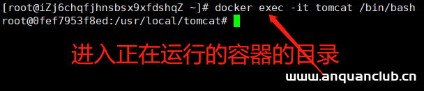 Docker方式启动tomcat访问首页出现404错误_docker-渗透云记 - 专注于网络安全与技术分享