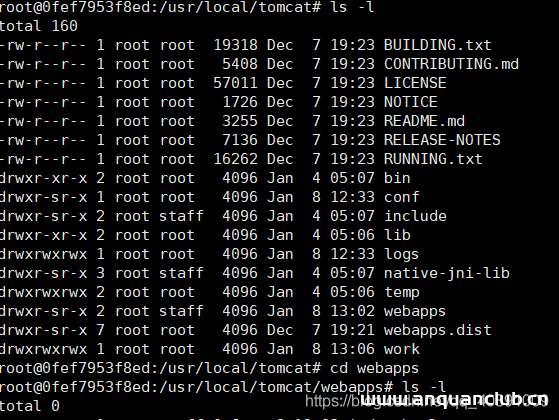 图片[2]-Docker方式启动tomcat访问首页出现404错误_docker-渗透云记 - 专注于网络安全与技术分享