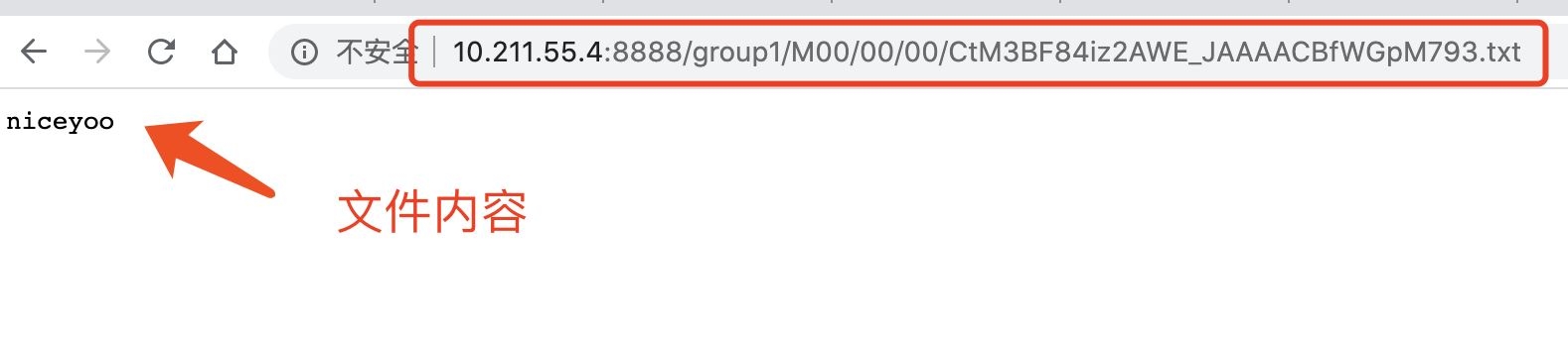 图片[14]-Docker中搭建FastDFS文件系统(多图教程)_docker-渗透云记 - 专注于网络安全与技术分享