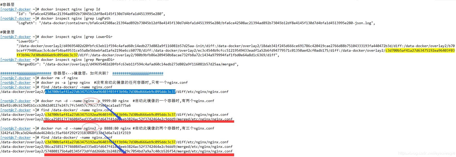 docker 文件存放路径, 修改端口映射操作方式_docker-渗透云记 - 专注于网络安全与技术分享