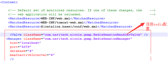 图片[4]-通过Nginx搭建Tomcat9集群并实现Session共享_nginx-渗透云记 - 专注于网络安全与技术分享
