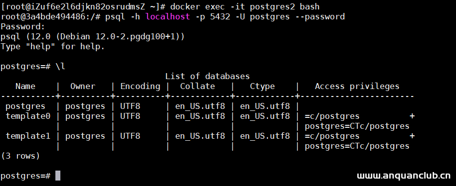 图片[2]-docker安装并持久化postgresql数据库的操作步骤_docker-渗透云记 - 专注于网络安全与技术分享