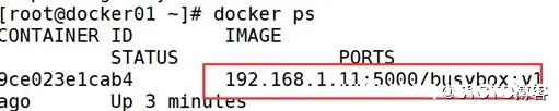 图片[16]-Docker跨主机网络(manual)的实现_docker-渗透云记 - 专注于网络安全与技术分享