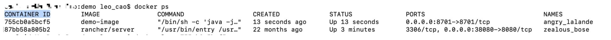 图片[10]-docker启动Java程序的方法步骤_docker-渗透云记 - 专注于网络安全与技术分享