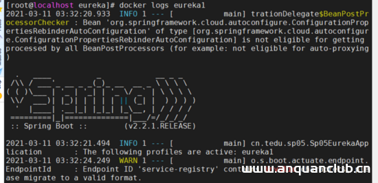 图片[11]-docker 中配置 eureka的方法_docker-渗透云记 - 专注于网络安全与技术分享