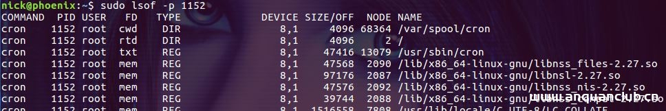 图片[10]-Linux lsof命令使用详解_Linux-渗透云记 - 专注于网络安全与技术分享