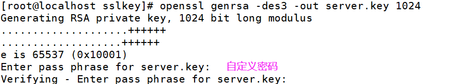 nginx配置https加密访问的详细教程_nginx-渗透云记 - 专注于网络安全与技术分享