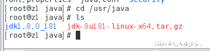 图片[2]-Linux下安装jdk包含卸载OpenJDK介绍_Linux-渗透云记 - 专注于网络安全与技术分享