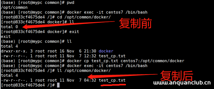 docker容器与宿主机的数据交互方式总结_docker-渗透云记 - 专注于网络安全与技术分享
