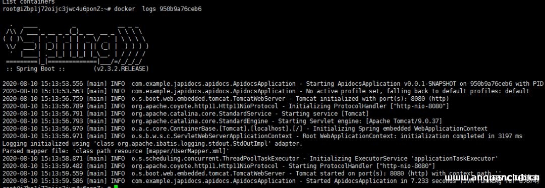 图片[5]-Spring Boot 打包上传Docker 仓库的详细步骤_docker-渗透云记 - 专注于网络安全与技术分享